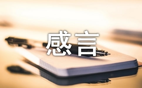 创作感言